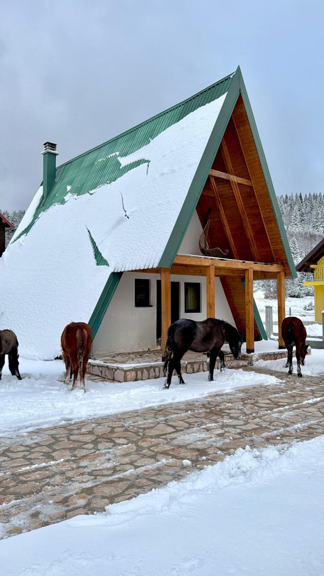Woodside Zabljak Eksteriør billede